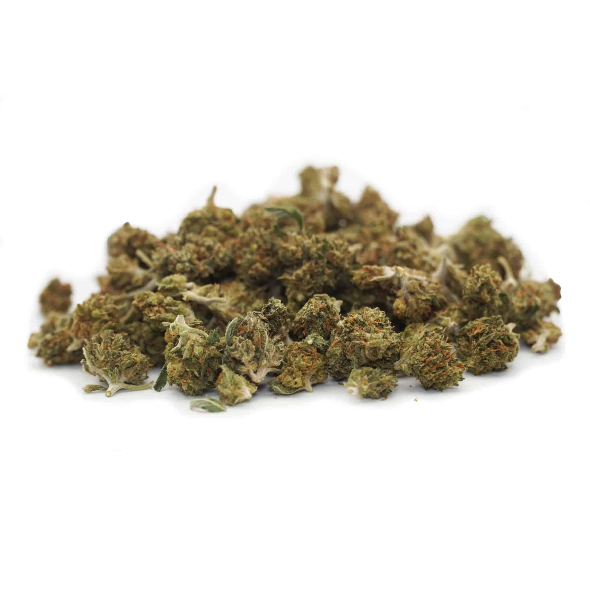 MINI BUDS - ROYAL CHEESE