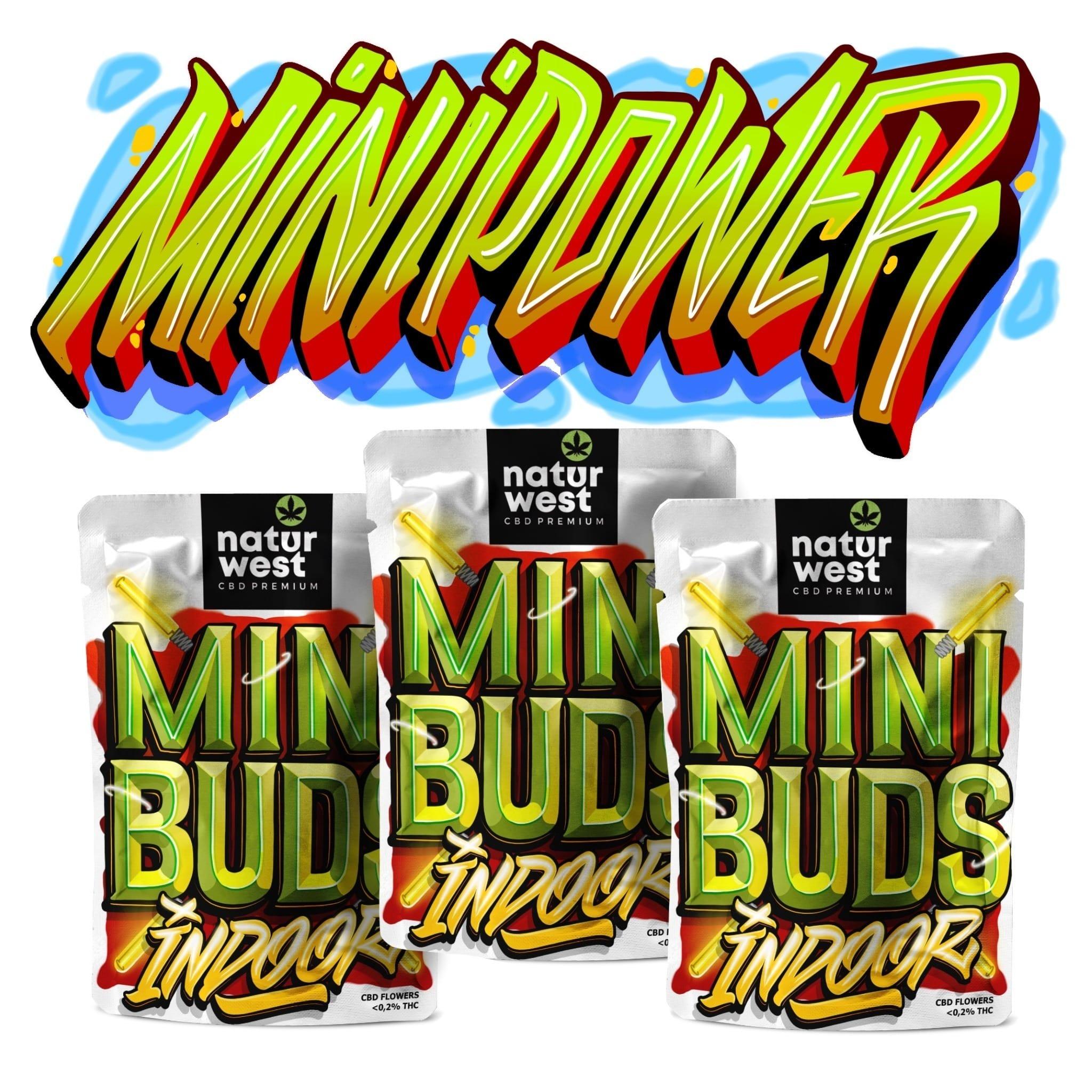 "MINIPOWER PACK" x3 MINIBUDS INDOOR
