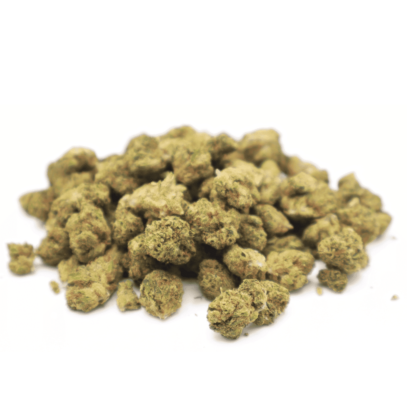 MINI BUDS INDOOR - WEDDING CRASHER - 2