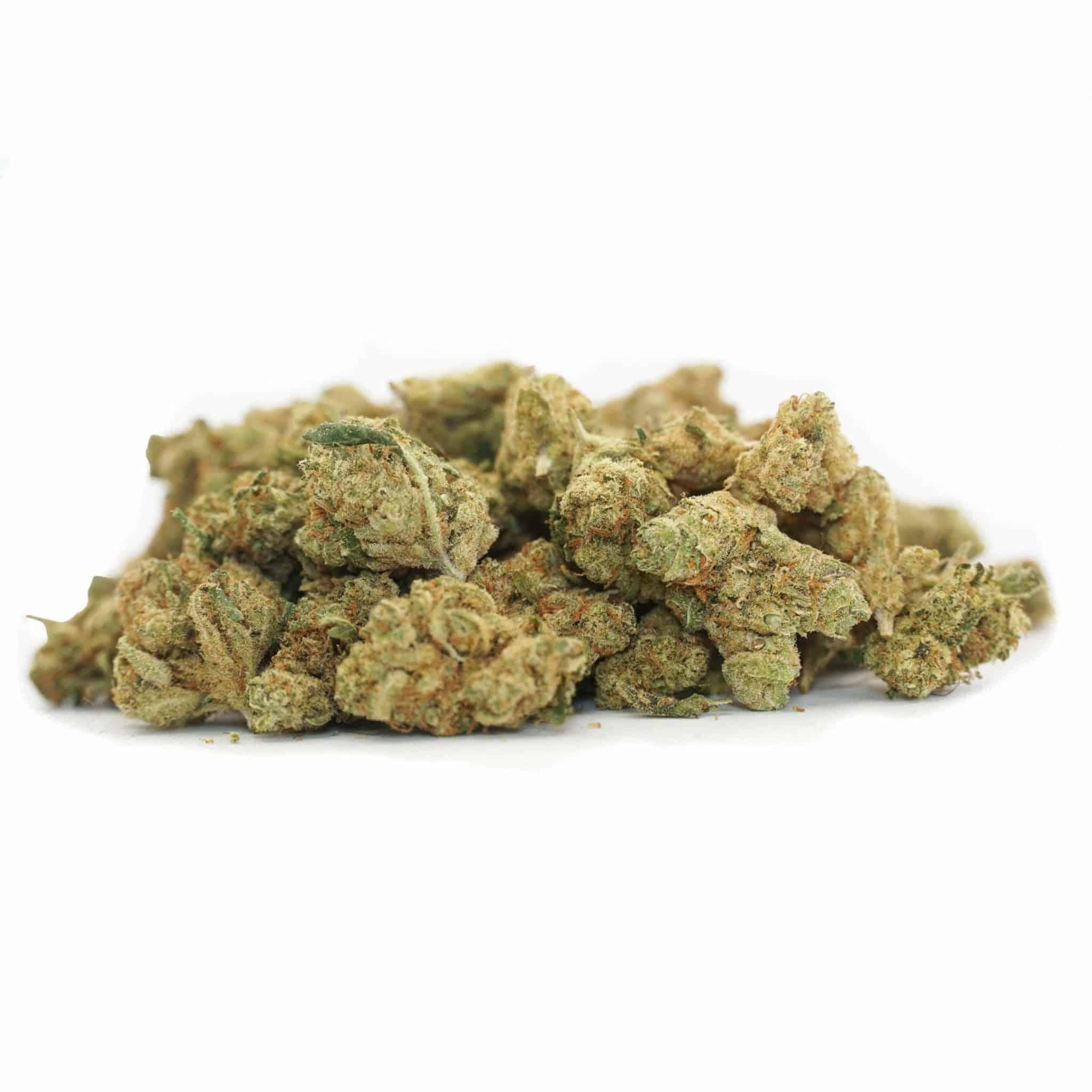 Mini Buds Indoor - Amnesia Hy Pro