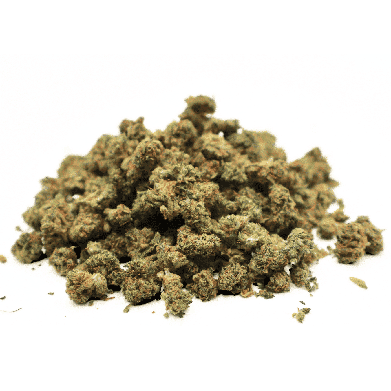 MINI BUDS INDOOR - APPLE FRITTER
